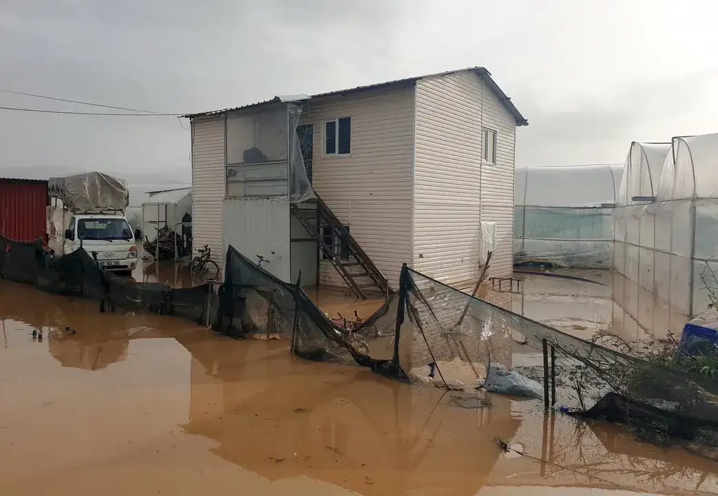 1500 Dönüm Tarım Alanı Zarar Gördü! Çiftçi: 'Ben Bittim Artık' 8